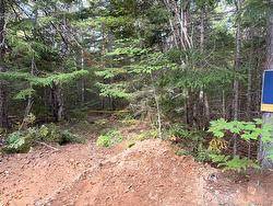 Steeves Lot Green RD Elgin, NB E4T 1T6