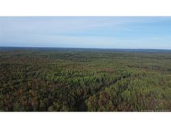Lot Donnelly Settlement RD Prince William, NB E6K 3N3