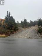 95-97 Deans Road Witless Bay, NL A0A 4K0