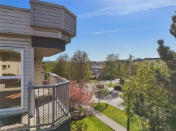 #401-445 Cook St Victoria, BC V8V 3Y2