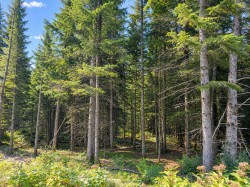 Imp. Ste-Croix Sainte-Agathe-Des-Monts, QC J8C 2Z7