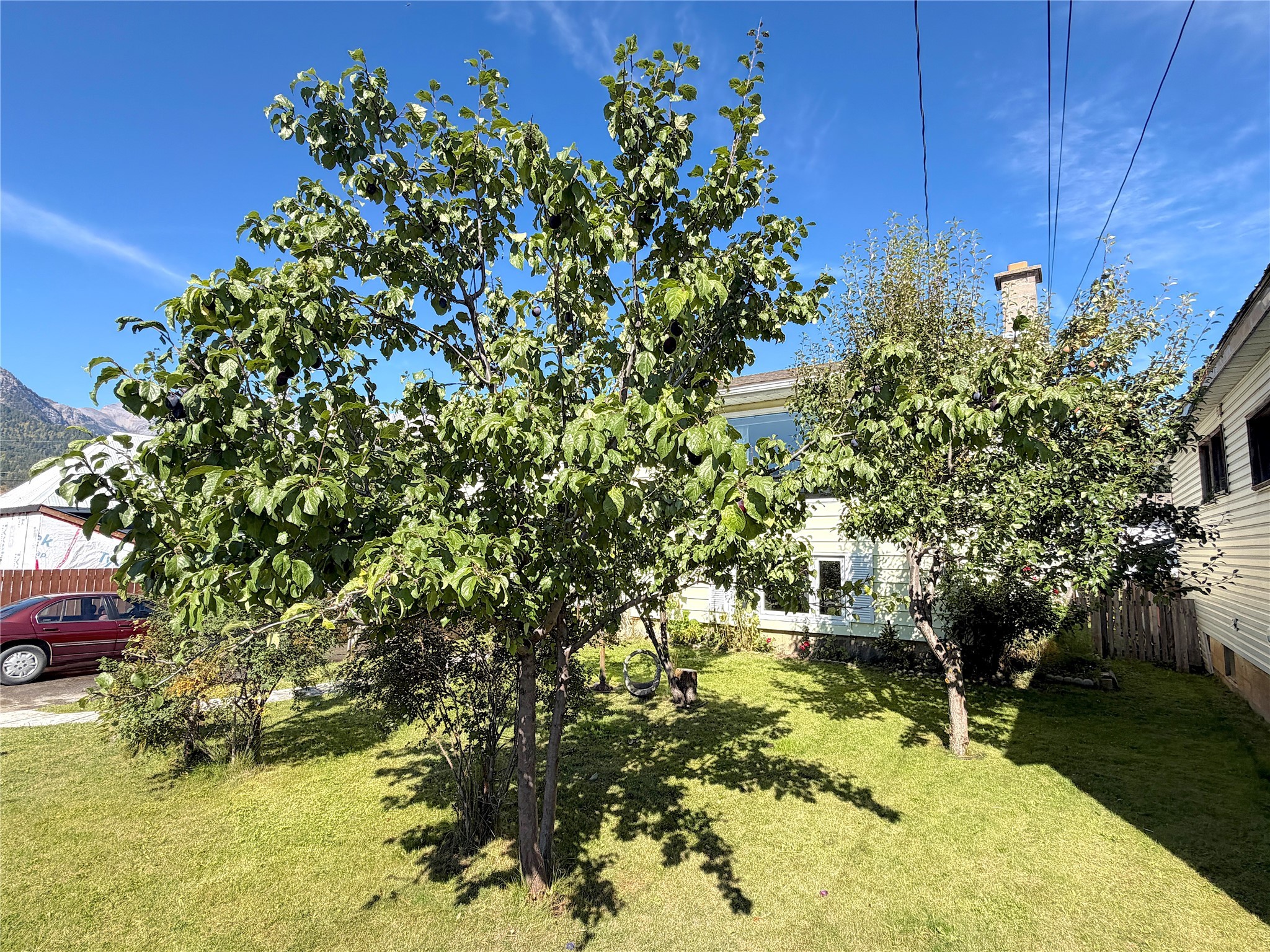 166 14Th Street, Fernie, BC