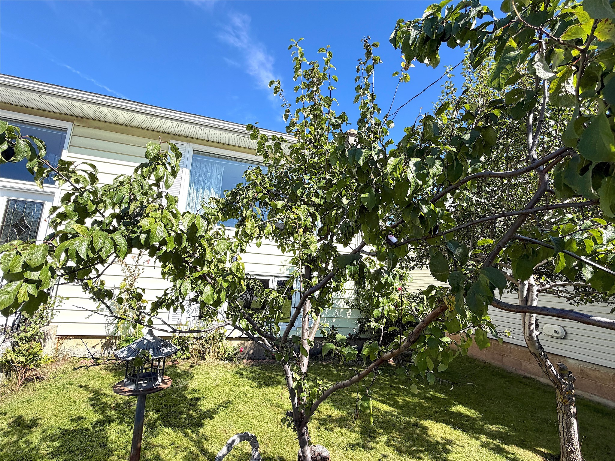 166 14Th Street, Fernie, BC