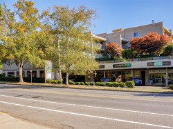 #206-1545 Pandora Ave Victoria, BC V8R 6R1