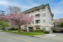 #209-1063 Southgate St Victoria, BC V8V 2Z1