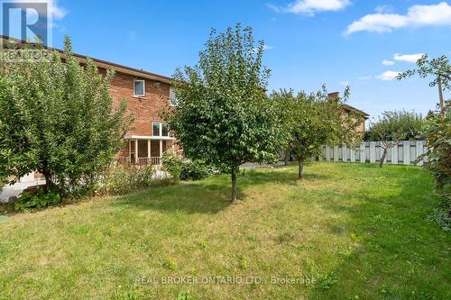 Fruit trees! Apple, Pear & Peach plus a grape vine - 86 Monte Drive, Hamilton, ON 