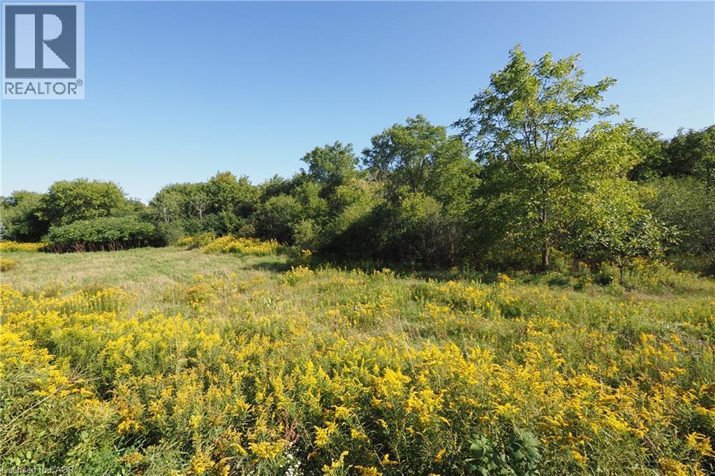 Expansive natural landscape featuring a field of yellow wildflowers and mature trees under a clear sky - 1200 Dunbar Road, Cambridge, ON