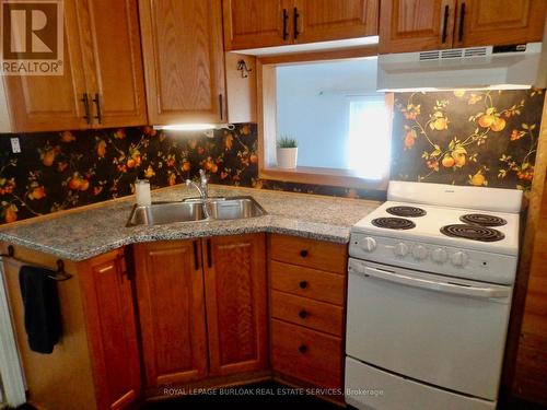 Oak kitchen, double sink , opening to back garden - 57 Harrison Avenue, Hamilton, ON 
