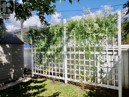 Lattice fencing, to create wall of green - 57 Harrison Avenue, Hamilton, ON 