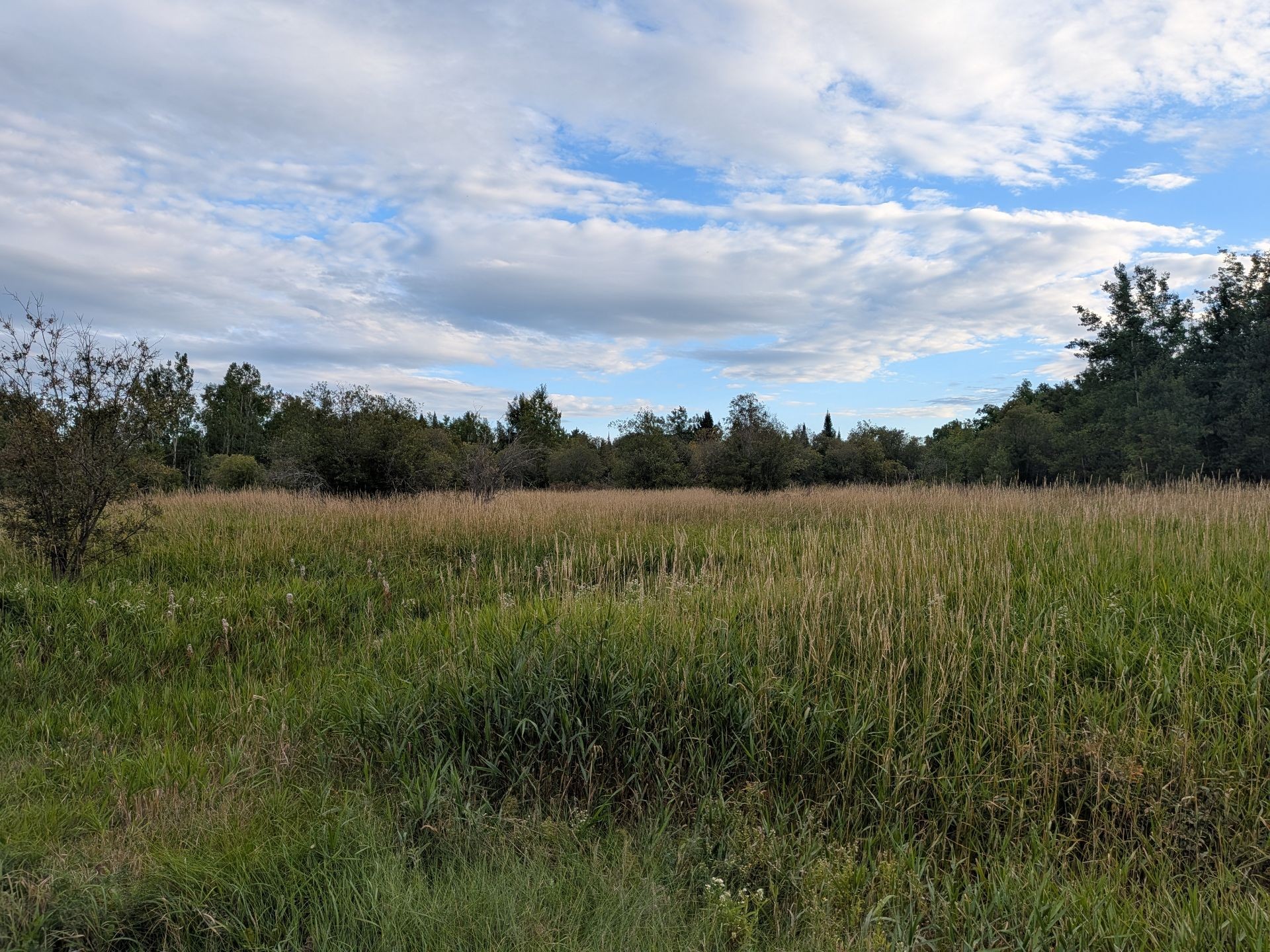 Terre/Terrain - Ch. De La Pointe, Preissac, QC