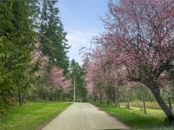 899,875 Andreef Rd Qualicum Beach, BC V9K 2T6