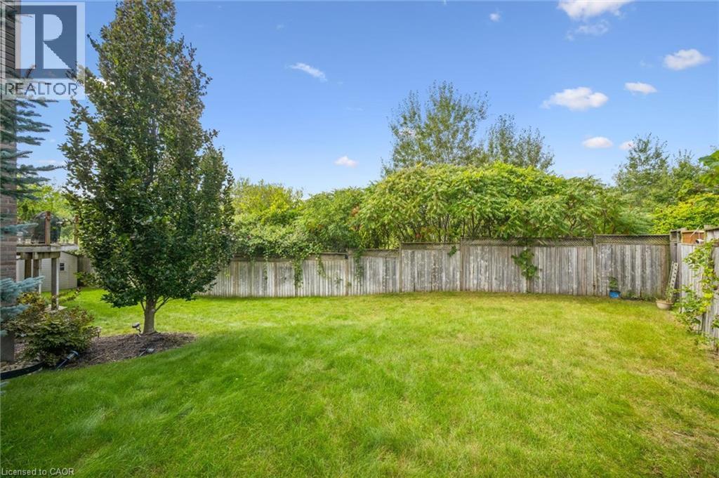 Expansive lawn area featuring a mature tree, privacy fencing, and surrounding established greenery - 517 Topper Woods Crescent, Kitchener, ON
