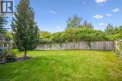 Expansive lawn area featuring a mature tree, privacy fencing, and surrounding established greenery -