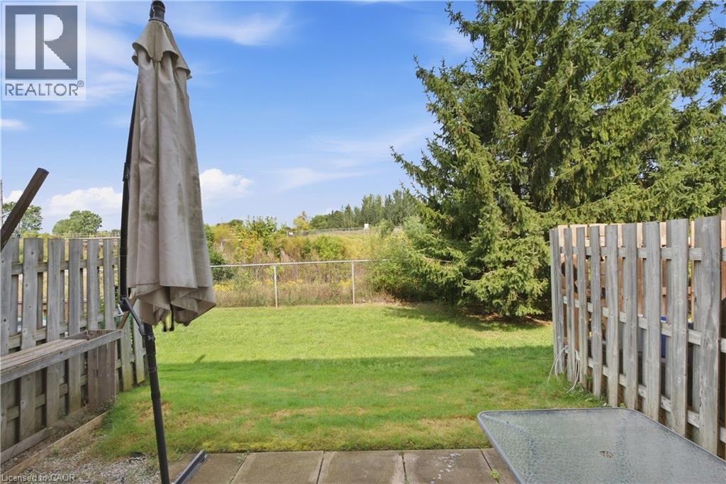 Expansive backyard featuring a lush lawn, mature evergreen trees, and a concrete patio - 30 S Imperial Road Unit# 3, Guelph, ON