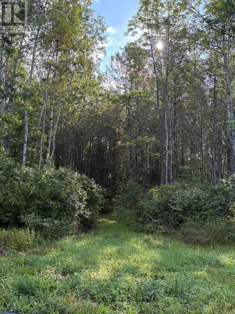 234389 Wendigo Lake Road, Englehart (Central Timiskaming), ON