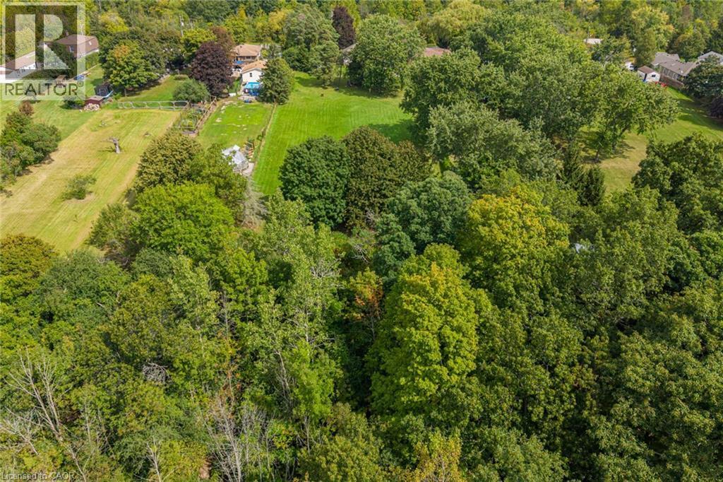 Expansive green spaces featuring mature trees and open grassy areas - 1412 Old York Road, Burlington, ON