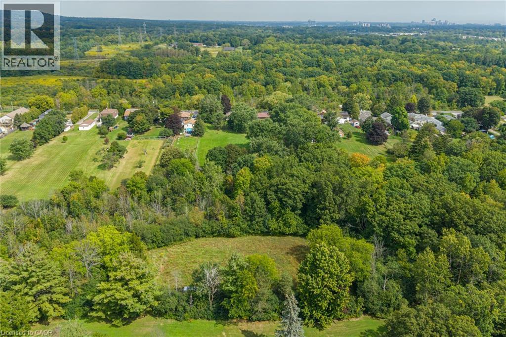 Expansive green landscape with dense tree coverage - 1412 Old York Road, Burlington, ON