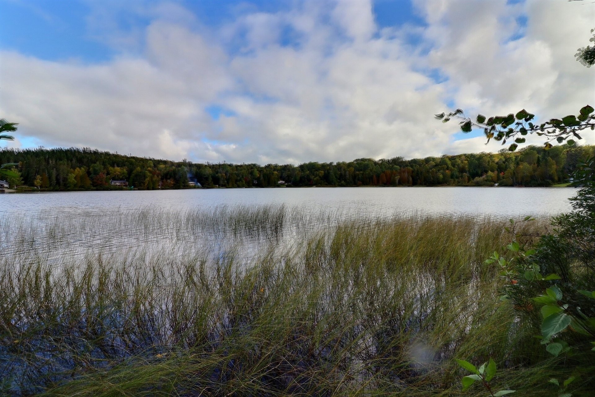 Water view - 5 Ch. Du Lac-Pezard, Saint-Fulgence, QC