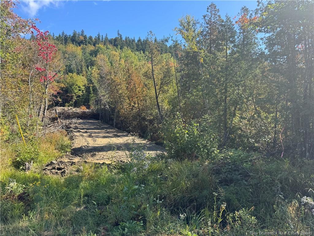 - Frye Rd, Chamcook, NB