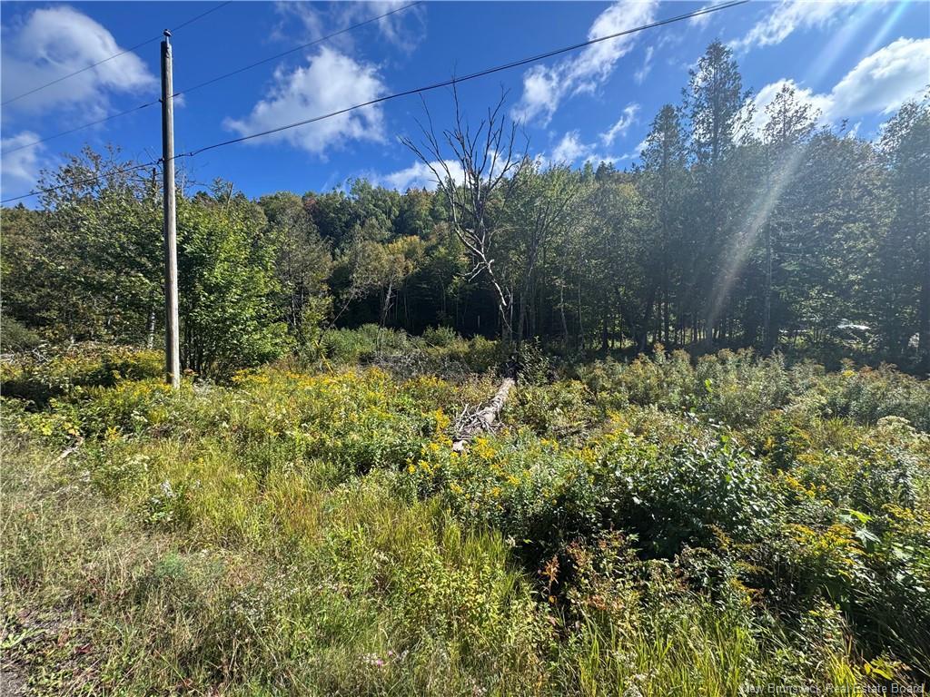 - Frye Rd, Chamcook, NB