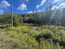 - Frye RD Chamcook, NB E5B 0C4