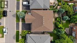 Brown shingle roof with multiple skylights -