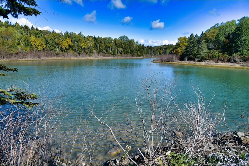 Vacant Lots Swimming Pool Rd, Welshpool, NB