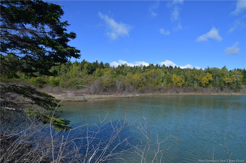 Vacant Lots Swimming Pool Rd, Welshpool, NB
