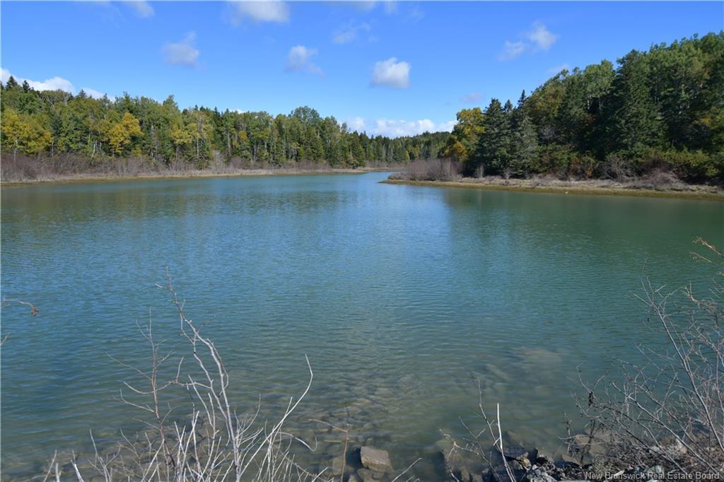 Vacant Lots Swimming Pool Rd, Welshpool, NB