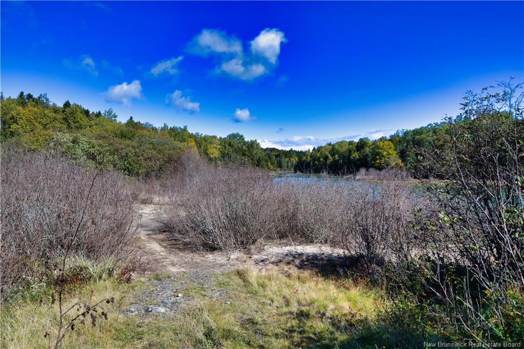 Vacant Lots Swimming Pool Rd, Welshpool, NB