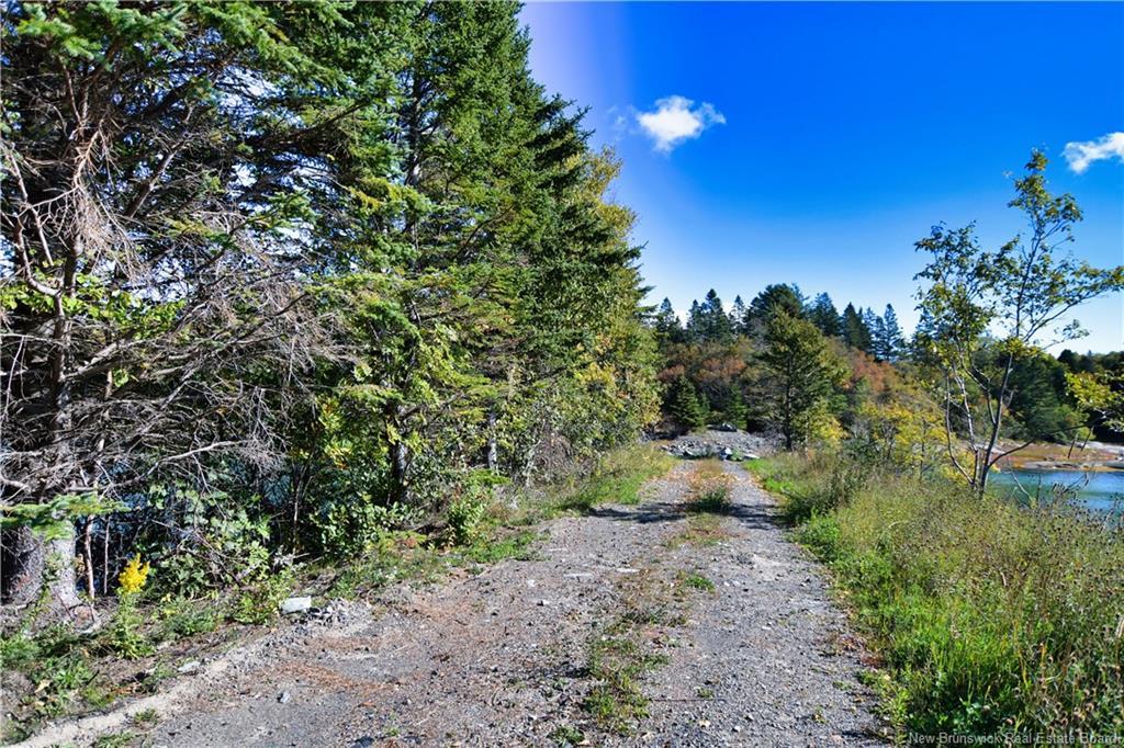 Vacant Lots Swimming Pool Rd, Welshpool, NB