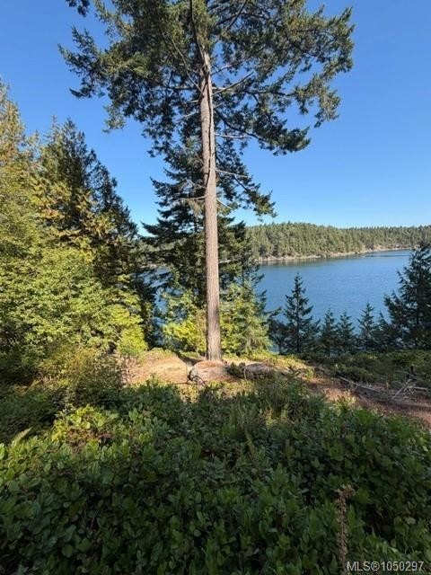 621 Bell Bay Rd, Mayne Island, BC