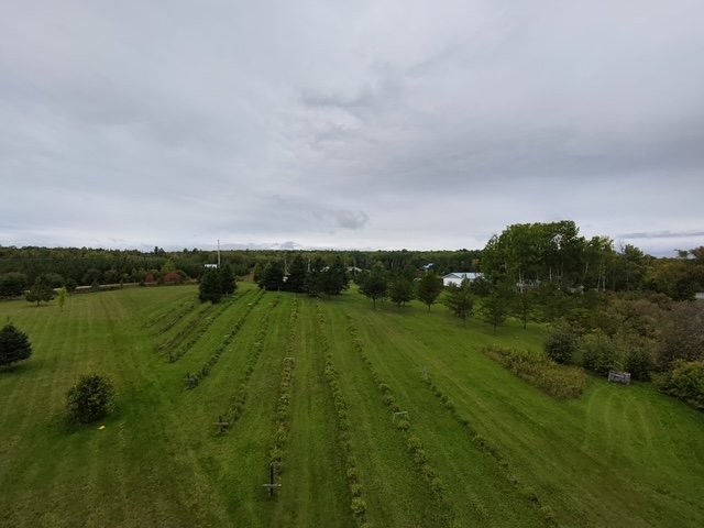 Lot - Ch. De La Rivière-Fraser, Latulipe-Et-Gaboury, QC