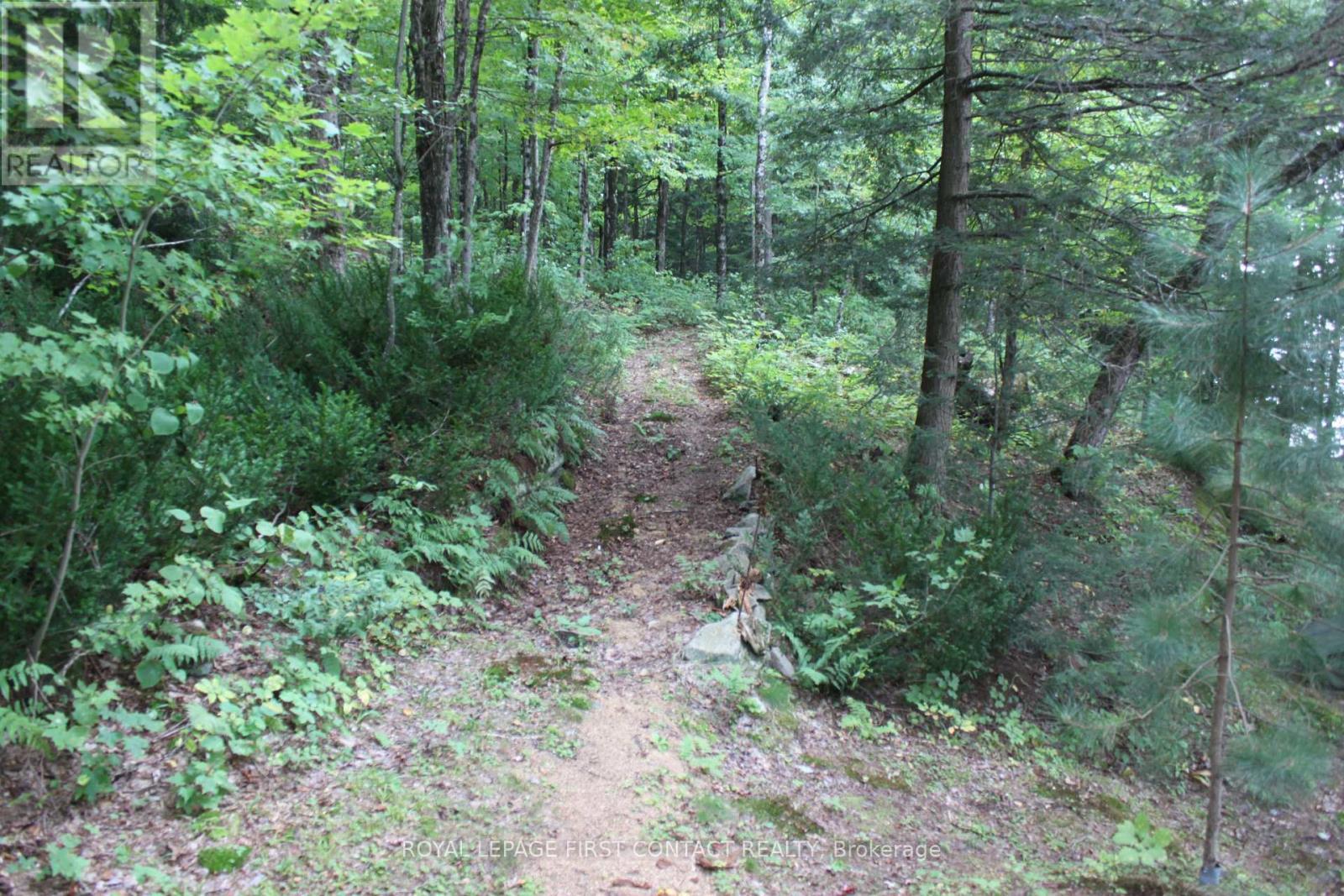 10 Healey Lake Road, The Archipelago, ON