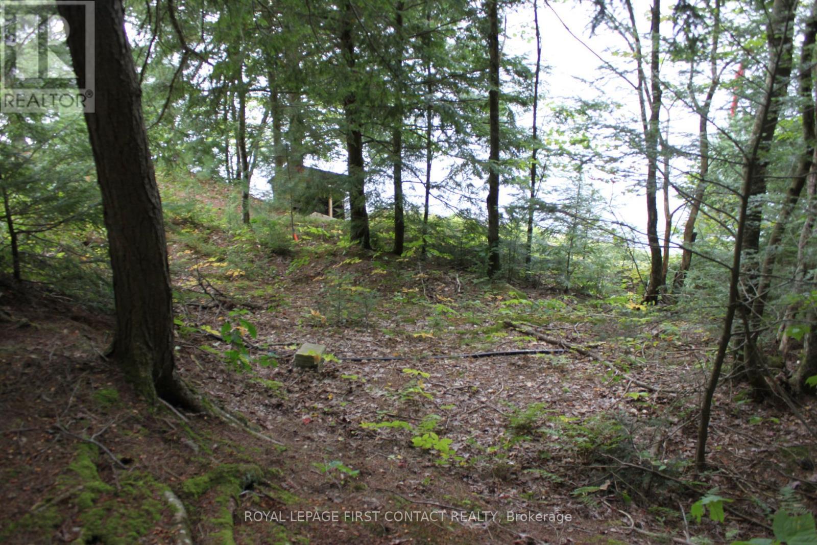10 Healey Lake Road, The Archipelago, ON