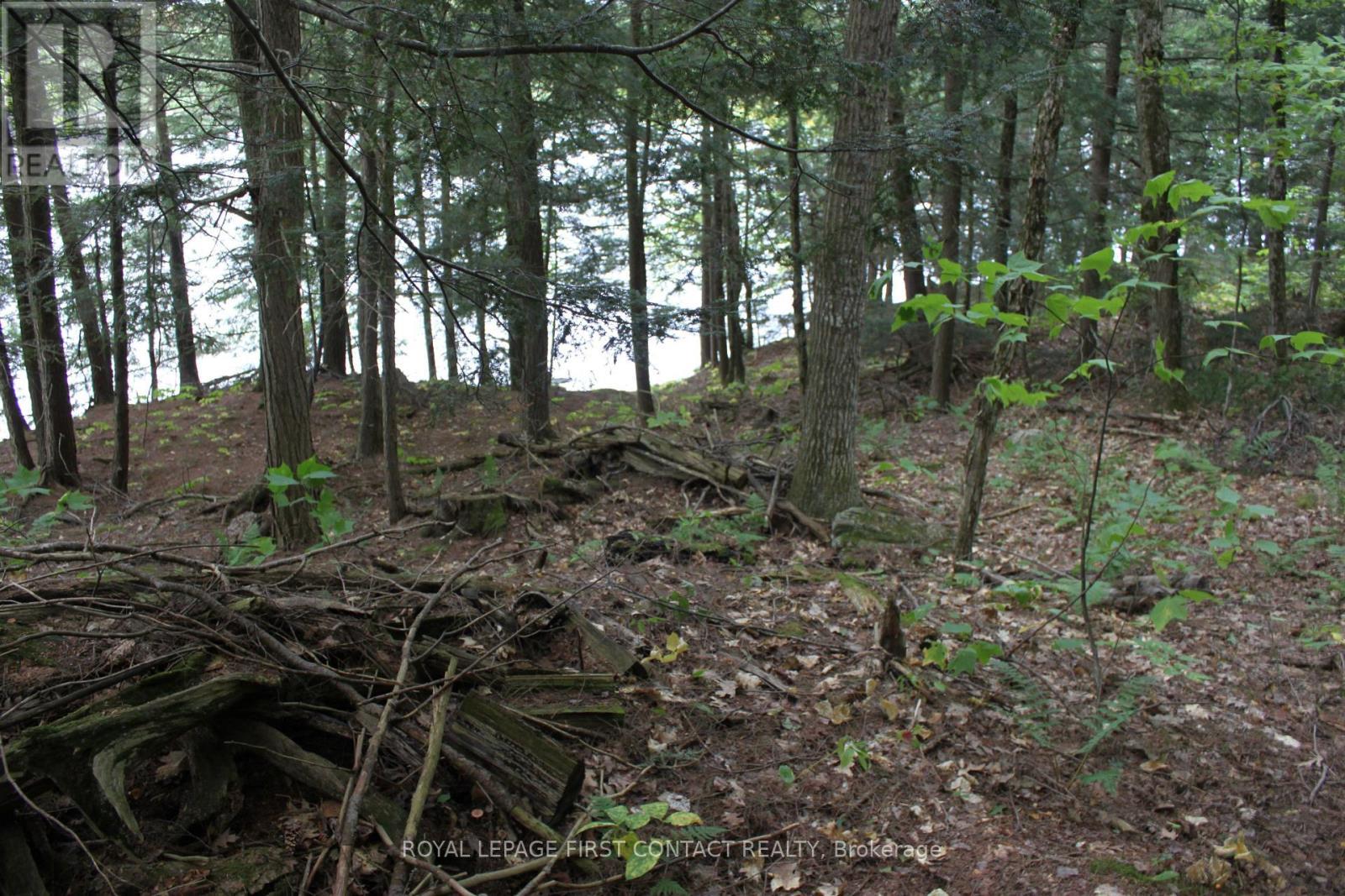 10 Healey Lake Road, The Archipelago, ON