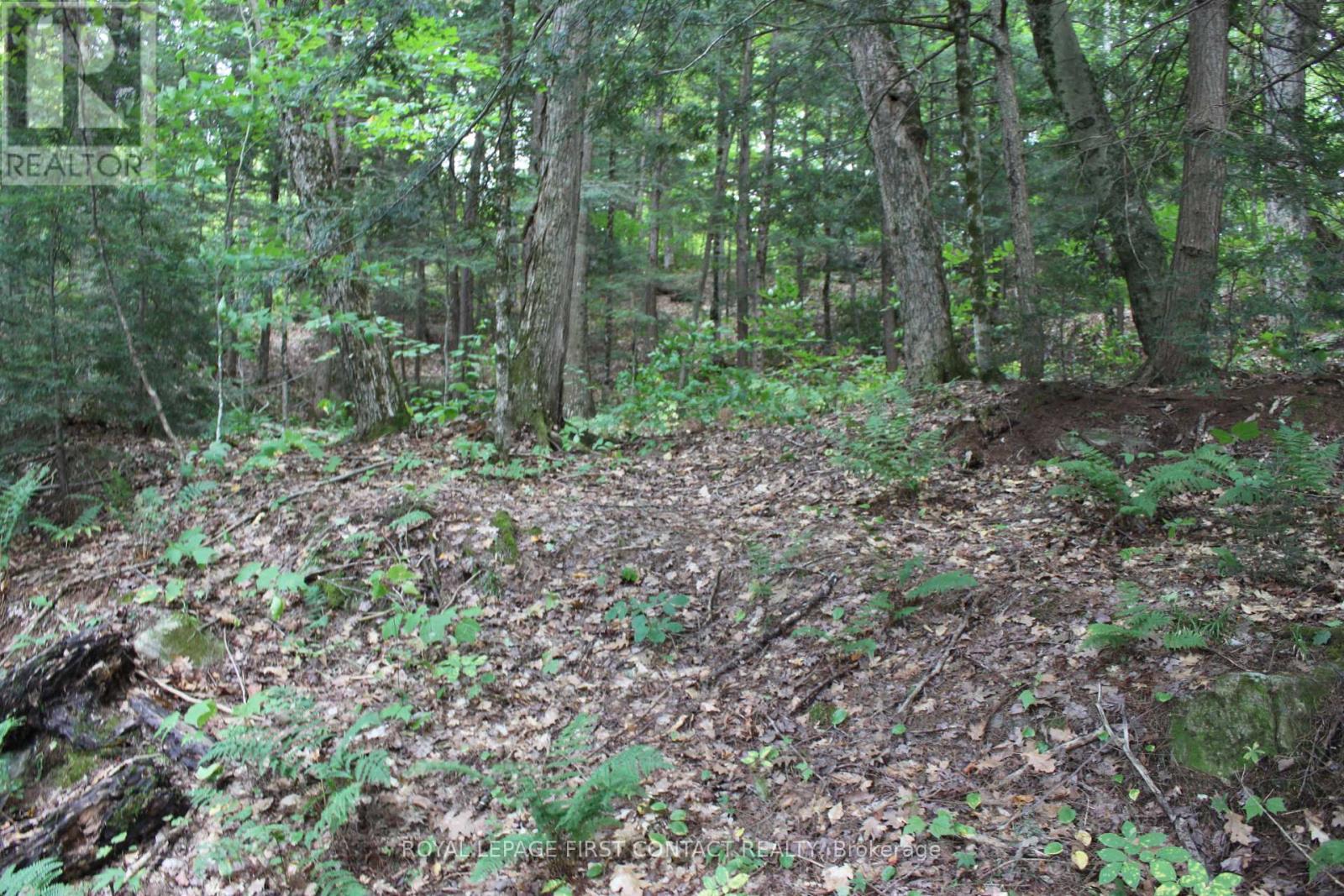 10 Healey Lake Road, The Archipelago, ON