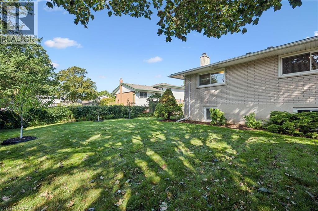 Spacious rear yard with a manicured lawn, mature trees, and privacy hedging - 35 Crosby Drive, Kitchener, ON