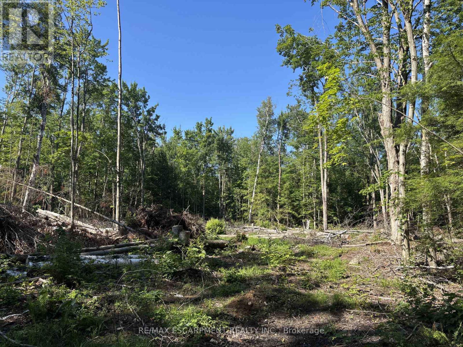 5822 Line 8 N, Oro-Medonte, ON