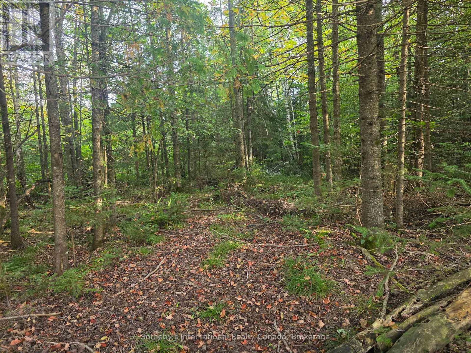 349749 4Th Concession B, Grey Highlands, ON