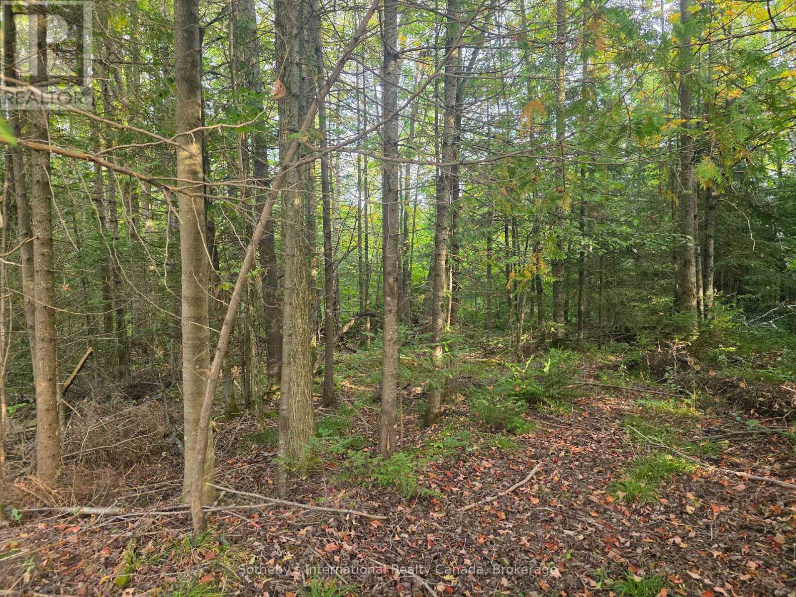 349749 4Th Concession B, Grey Highlands, ON