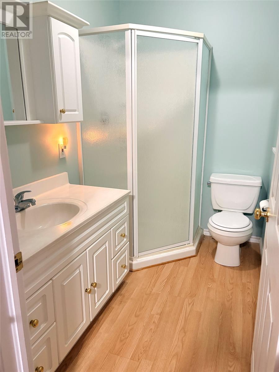 Ensuite Bath - 379 Grenfell Heights, Grand Falls-Windsor, NL