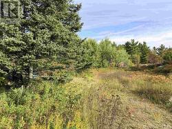 11934 Highway 17 Thessalon, ON P0R 1L0