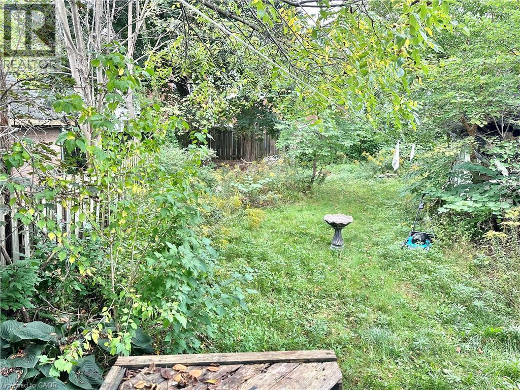 Backyard - 128 Kent Street S, Simcoe, ON