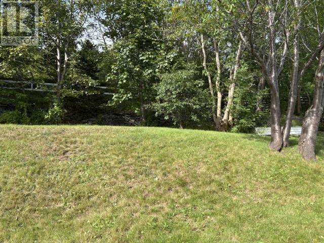 154 Harvey Street, Harbour Grace, NL