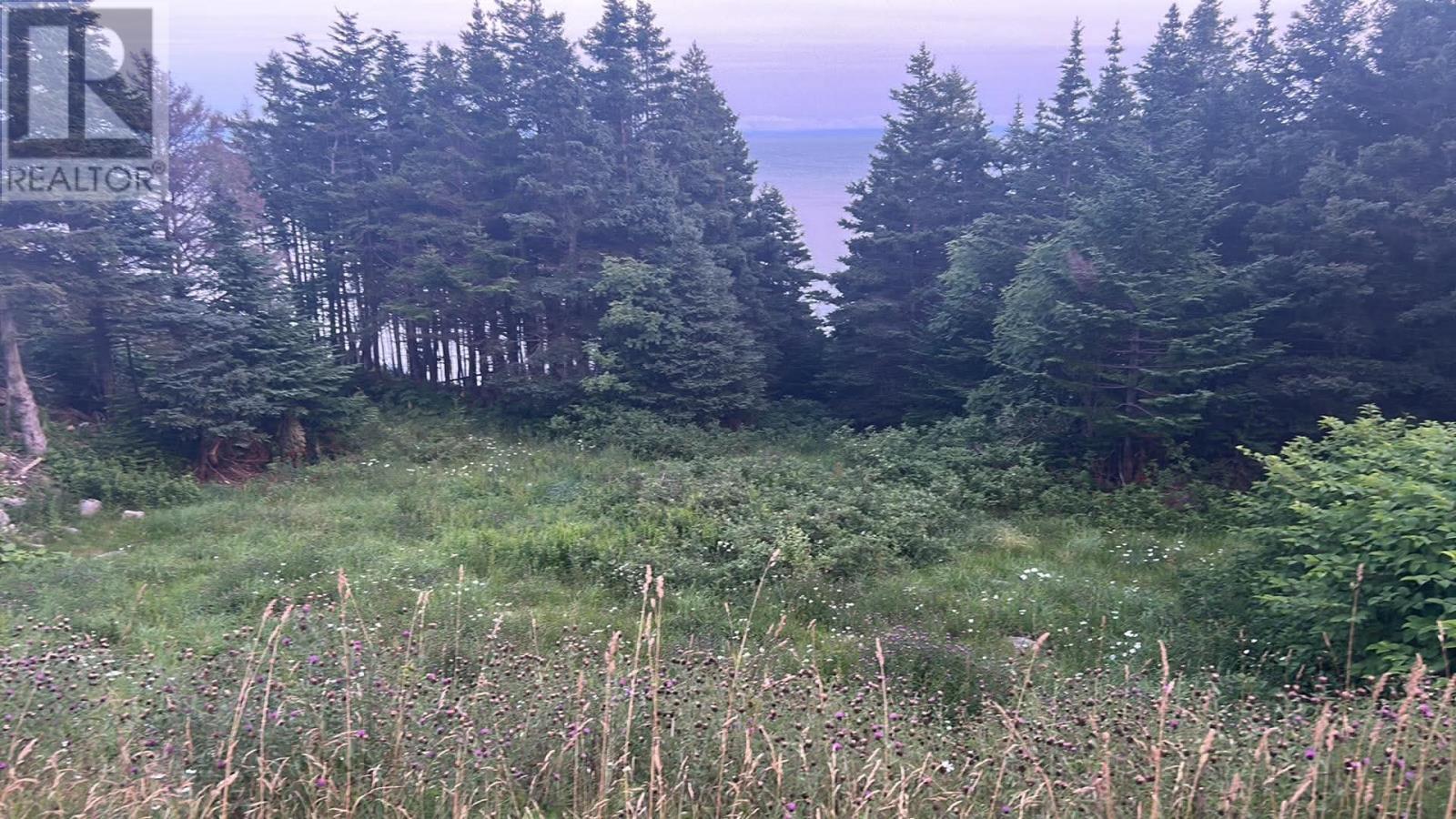 485 Oceanview Drive, Cape St. George, NL