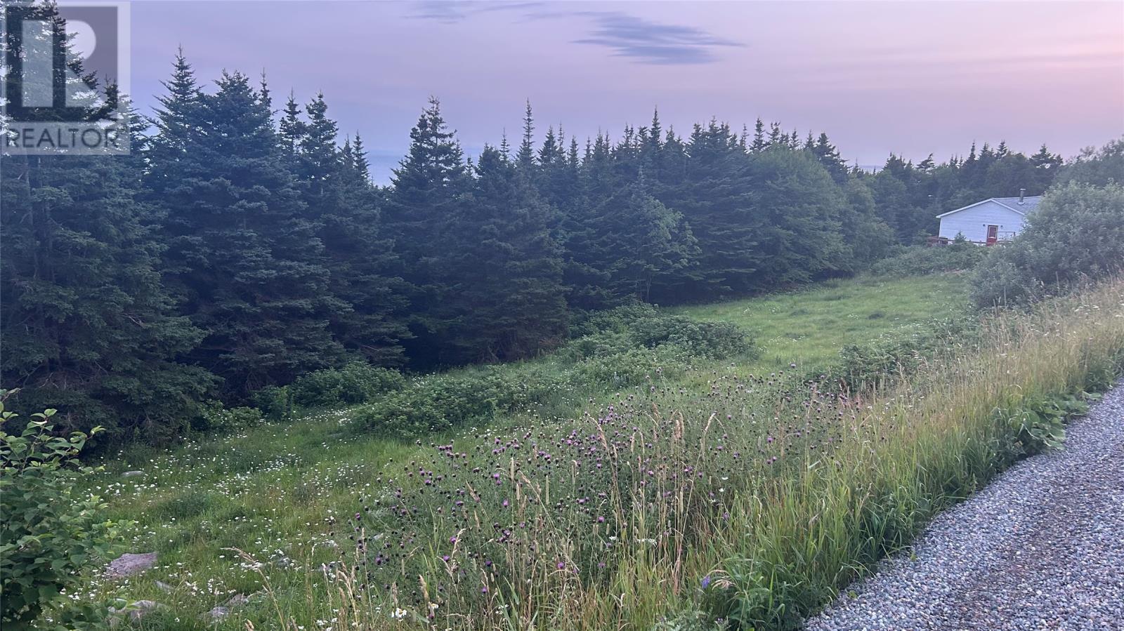 485 Oceanview Drive, Cape St. George, NL