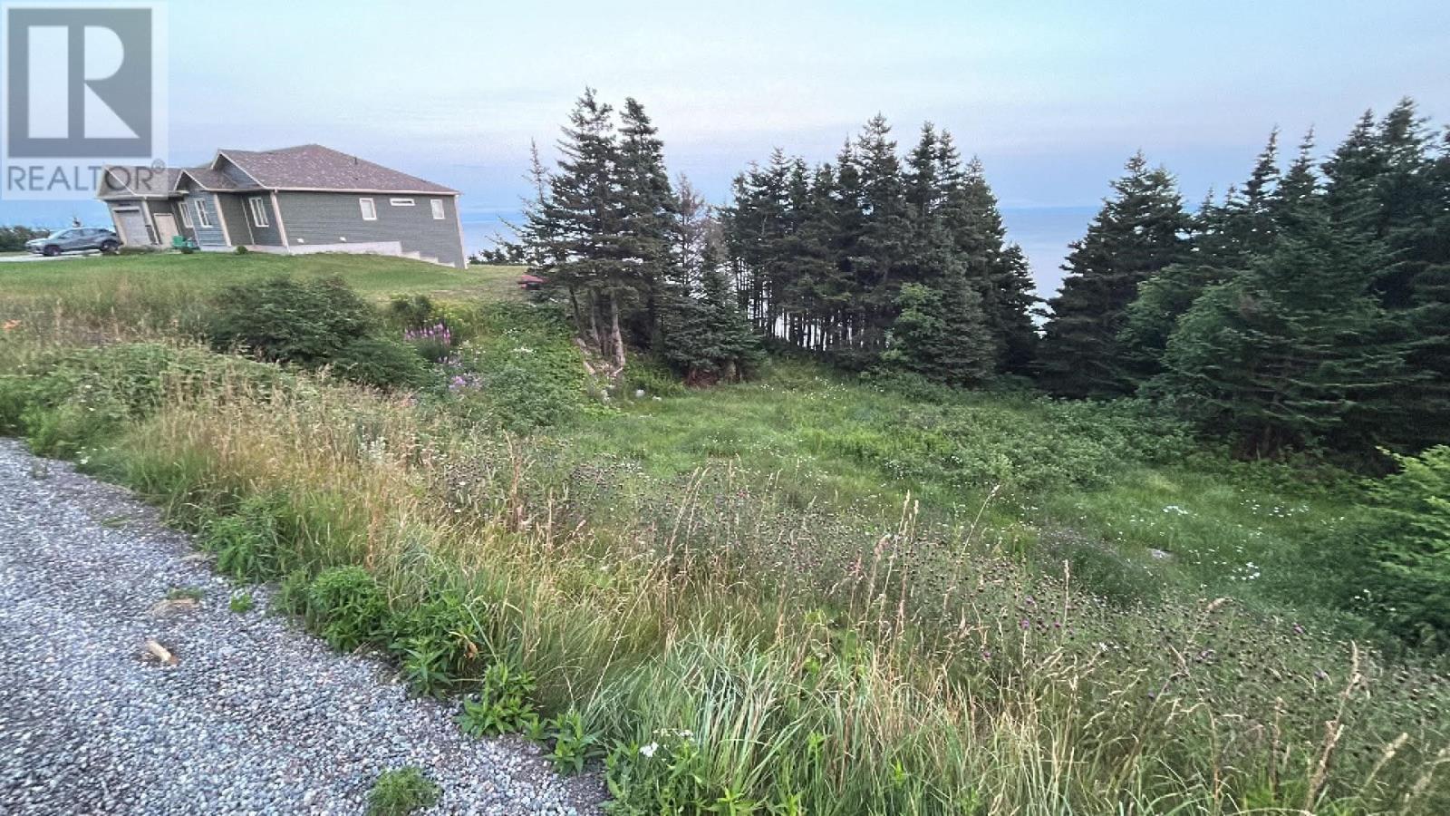 485 Oceanview Drive, Cape St. George, NL