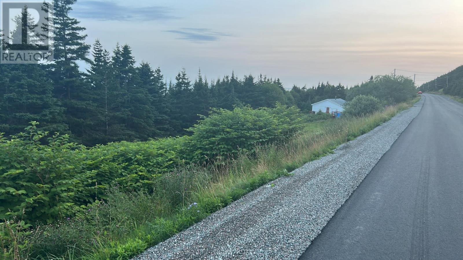 485 Oceanview Drive, Cape St. George, NL