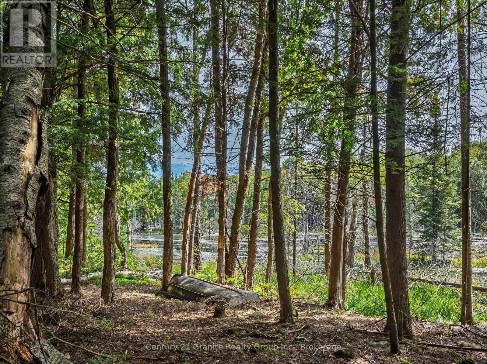 1453 Fleming Road, Minden Hills (Anson), ON